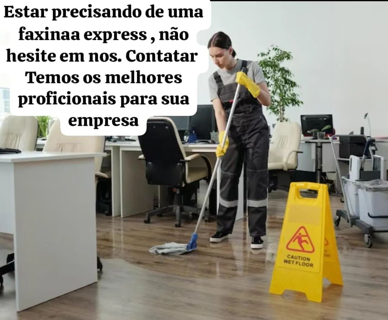 Serviços domésticos e empresárias  - Foto 3