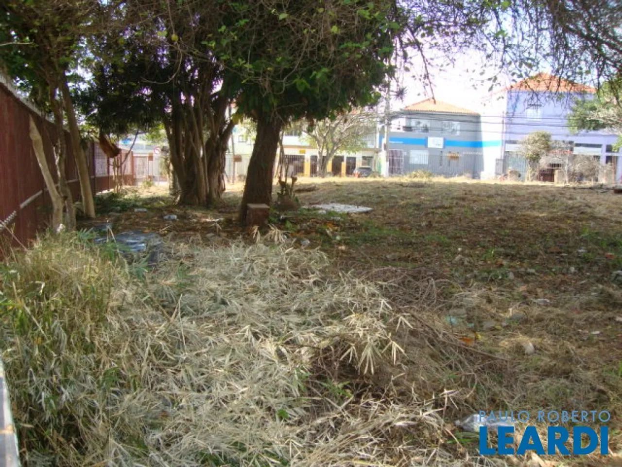 TERRENO - ALTO DA LAPA - SP - Foto 4