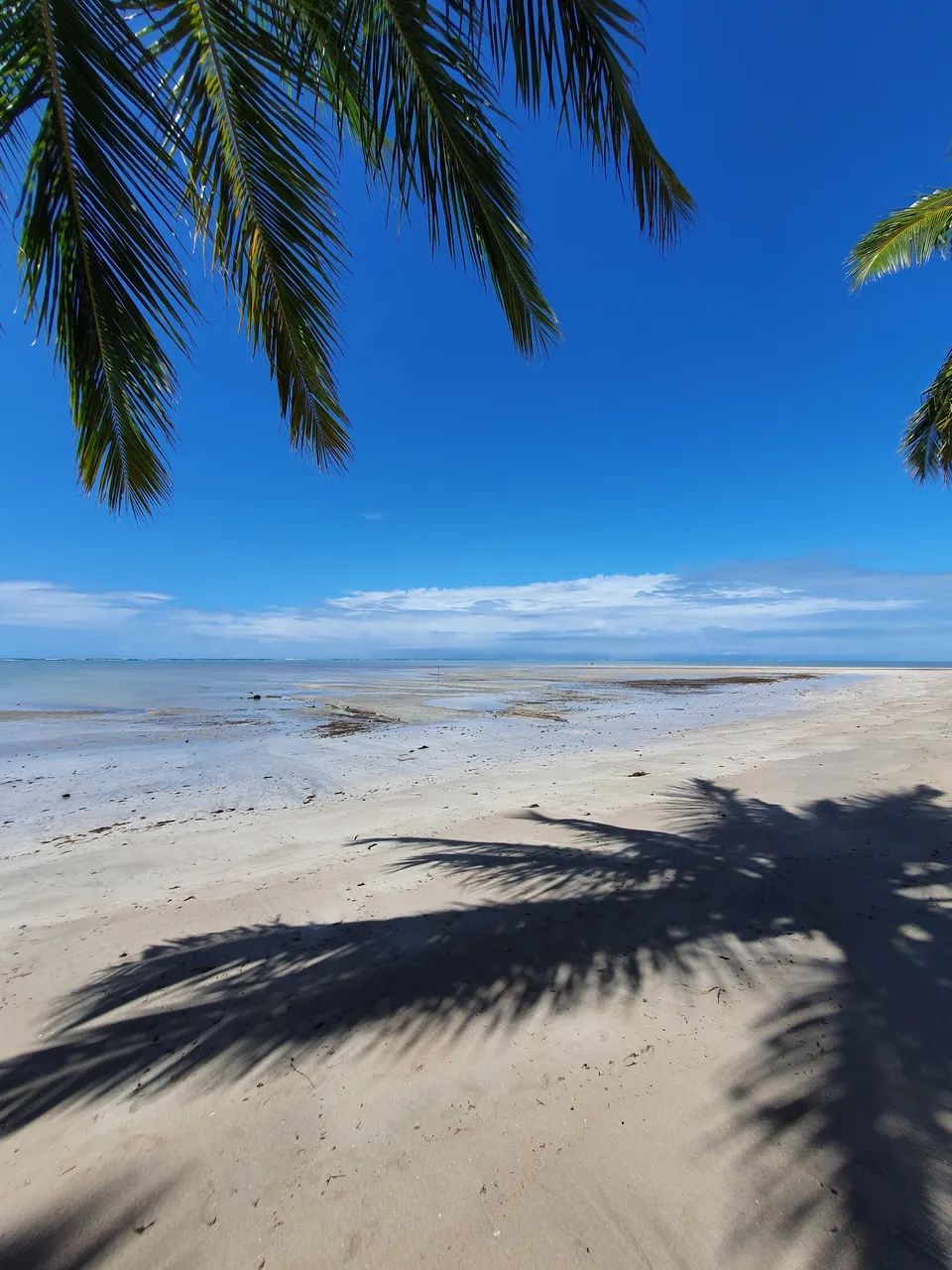 Hospedagem em Maragogi Alagoas 