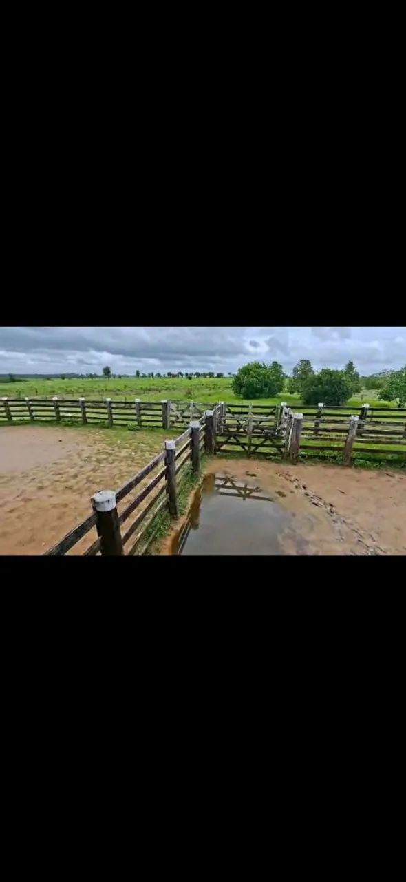 Fazenda a venda regiâo do pará 