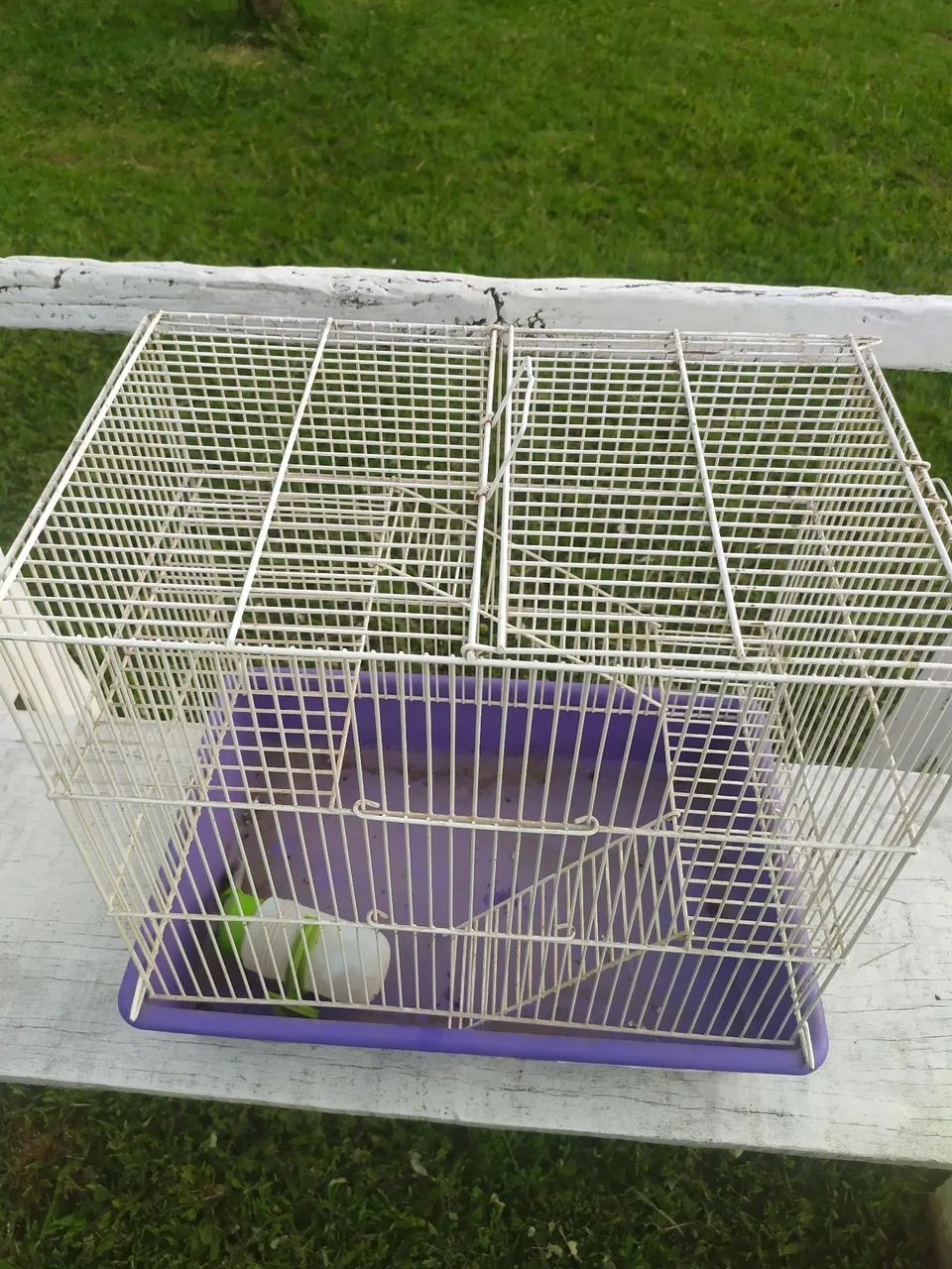 Gaiola de ramister ótimo estado  - Foto 2