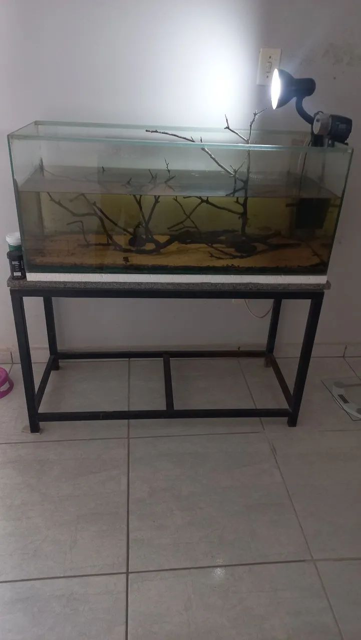Aquário completo
