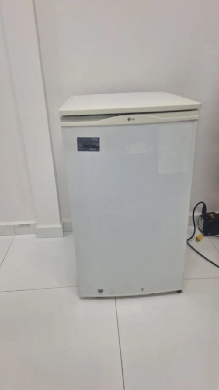 Frigobar LG 220v
