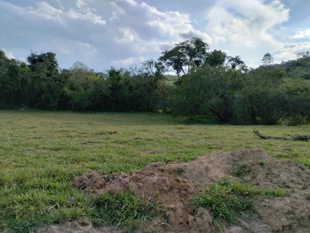 Lindo terreno para chácara  - Foto 2