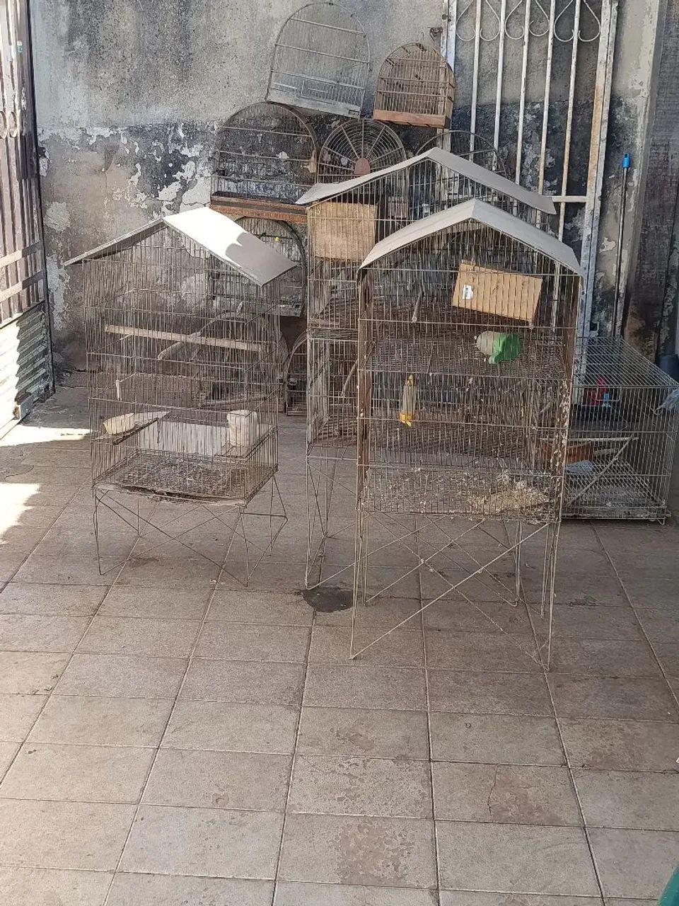 Gaiolas e viveiros  - Foto 4