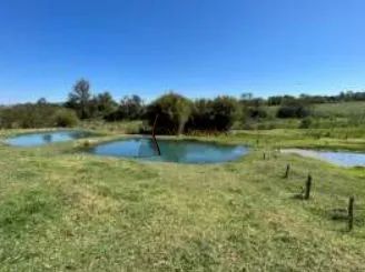Área à Venda em Centro, Cruzeiro do Oeste - PR - Foto 3