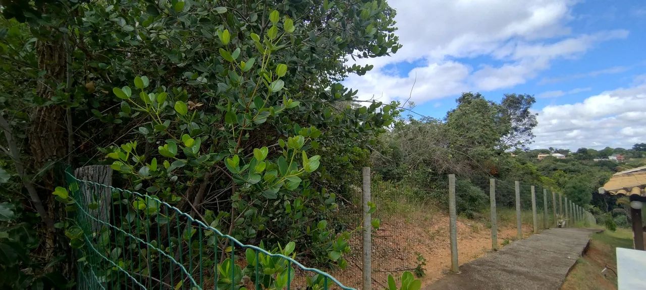 Foto - Lagoa Santa - 