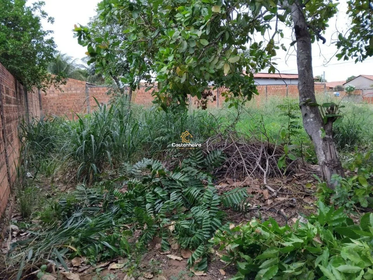 Lote Residencial 720m² - Setor SUSSUAPARA 2 - Foto 5