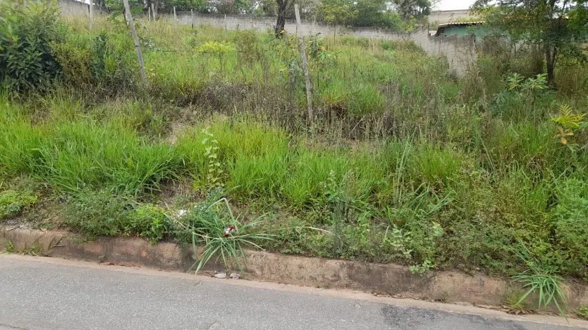 Pedra Branca/São Joaquim de Bicas - Foto 5