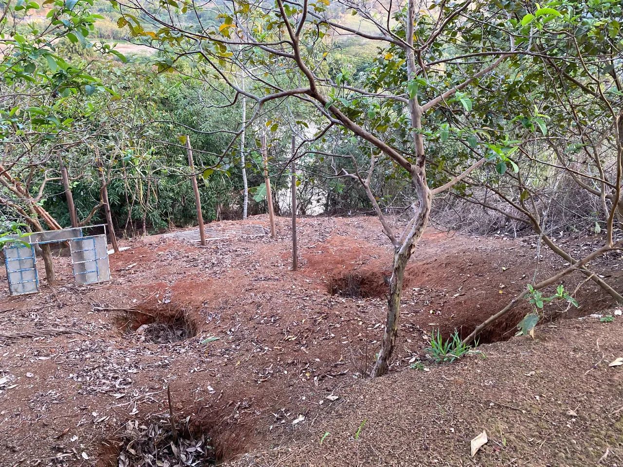 Excelente terreno bem localizado  - Foto 4