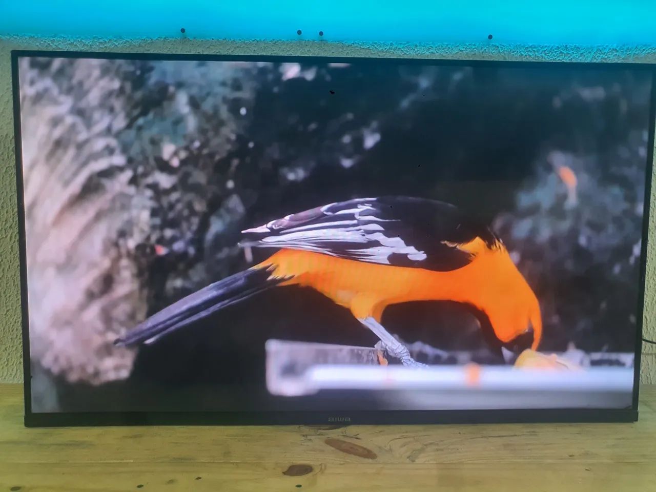 Tv 43 polegadas android com todos apps blutooof comando de voz - Foto 5
