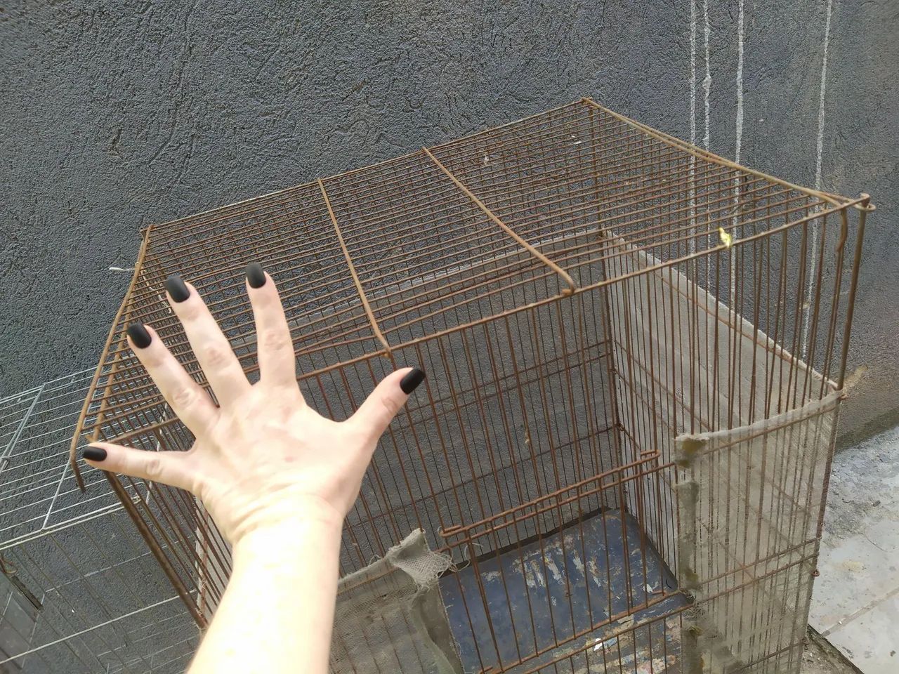 Gaiola - Foto 5