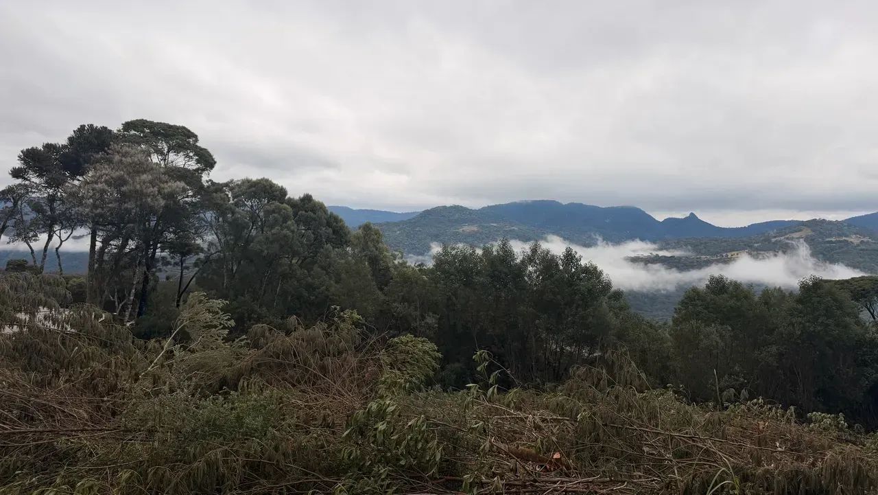 sítio a venda em Urubici - Foto 4