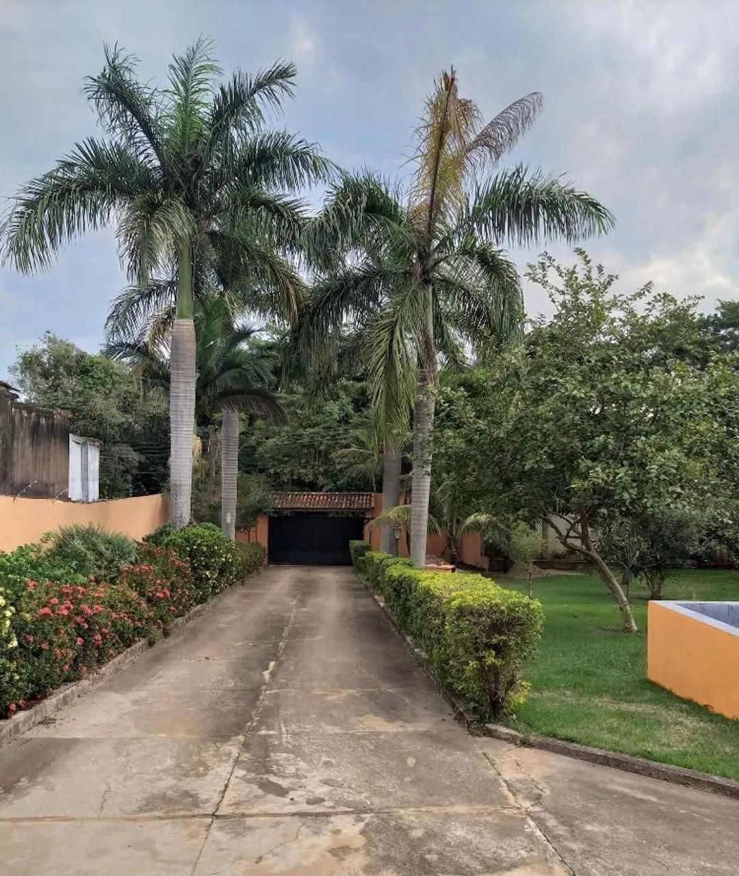 Foto - Cosmópolis - Área Rural de Cosmópolis