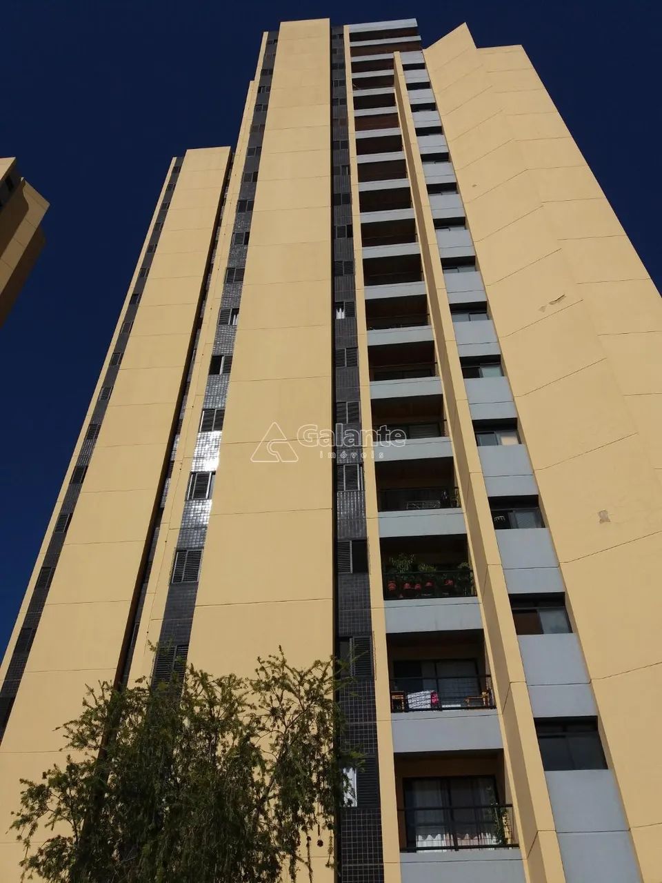 apartamento - Mansões Santo Antônio - Campinas - Foto 2