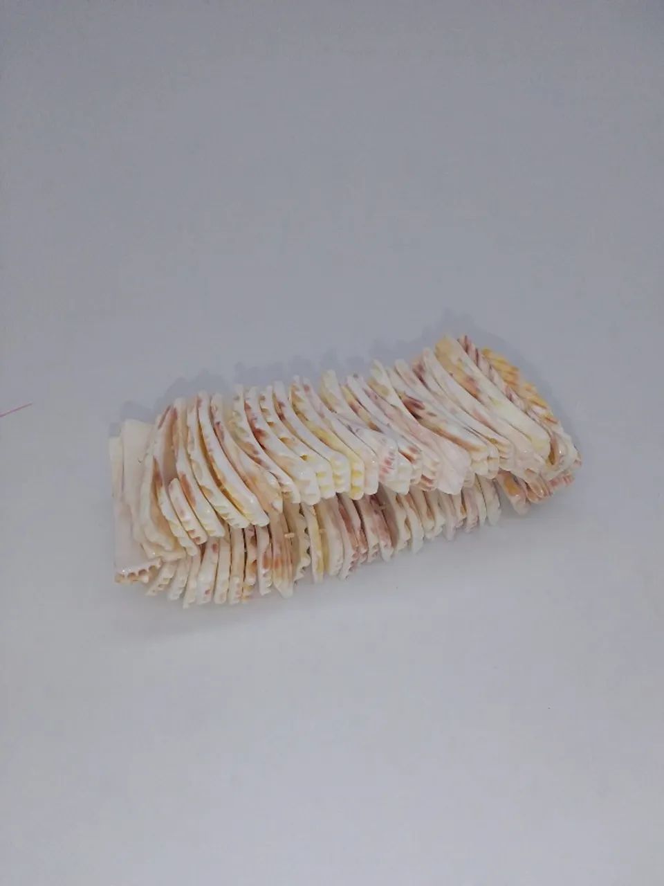 Pulseira Madrepérola Conchas Fatiadas Natural Semi-nova - Foto 2