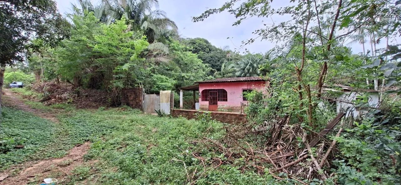 Venda 