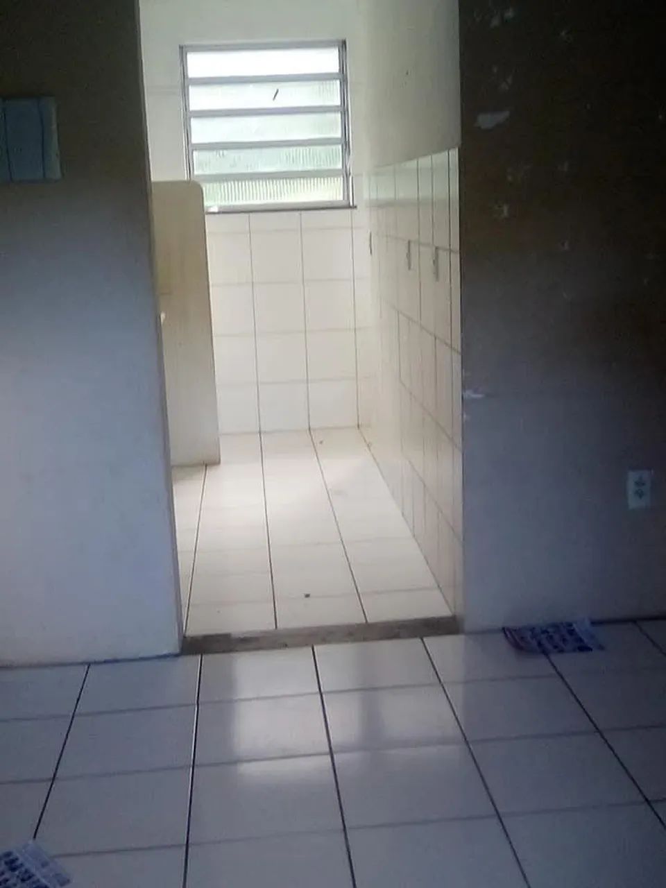 Sussuarana velha  - Foto 4