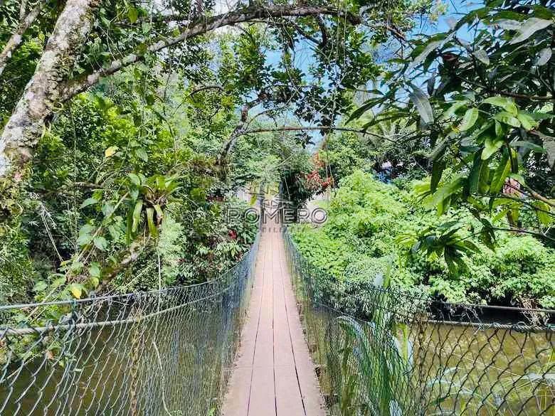 Terreno, Praia da Maranduba, Ubatuba - R$ 180 mil, Cod: 2013 - Foto 6