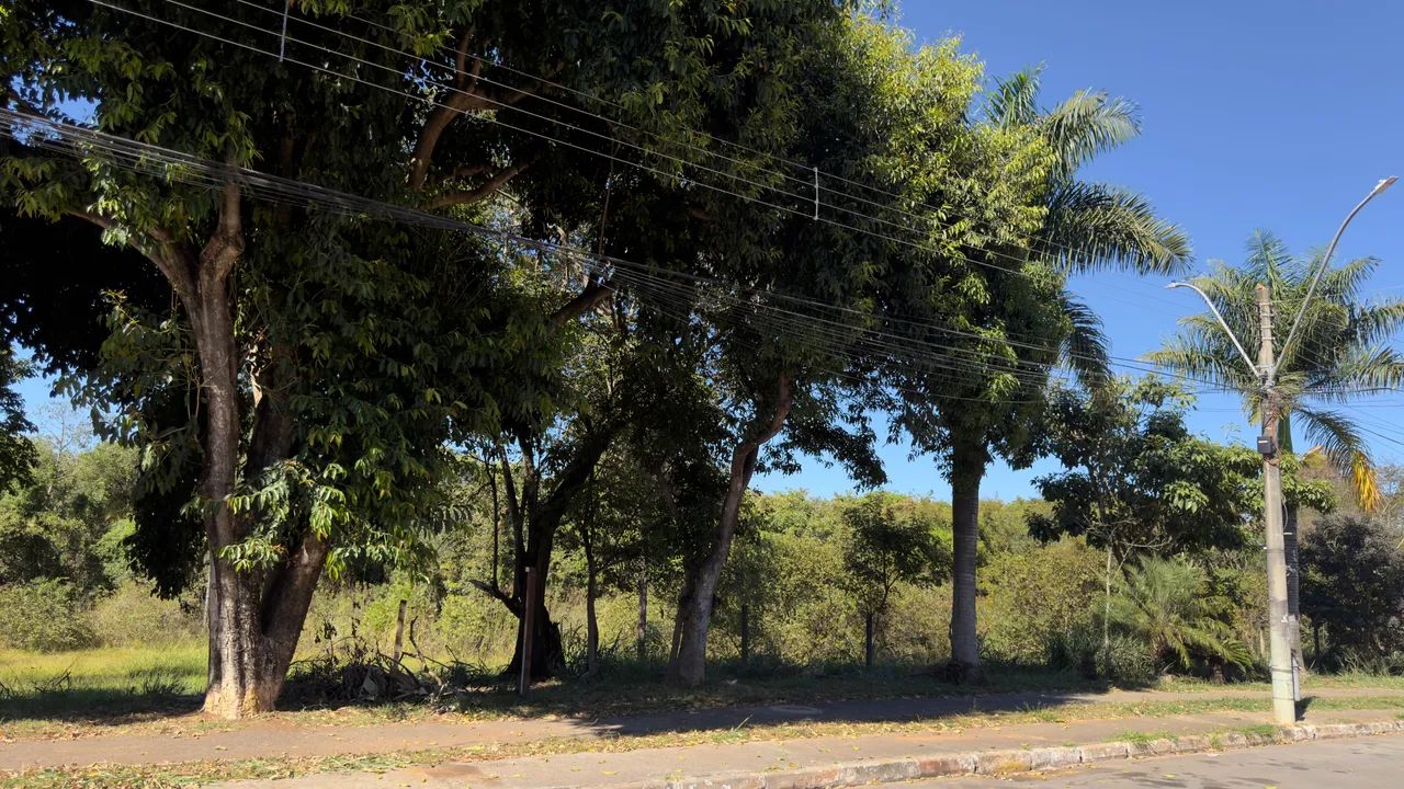 Exclusividade lote - Qr1A - Candangolandia  - Foto 5