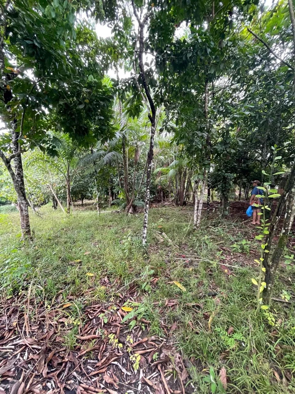 Terreno Rio preto da Eva 