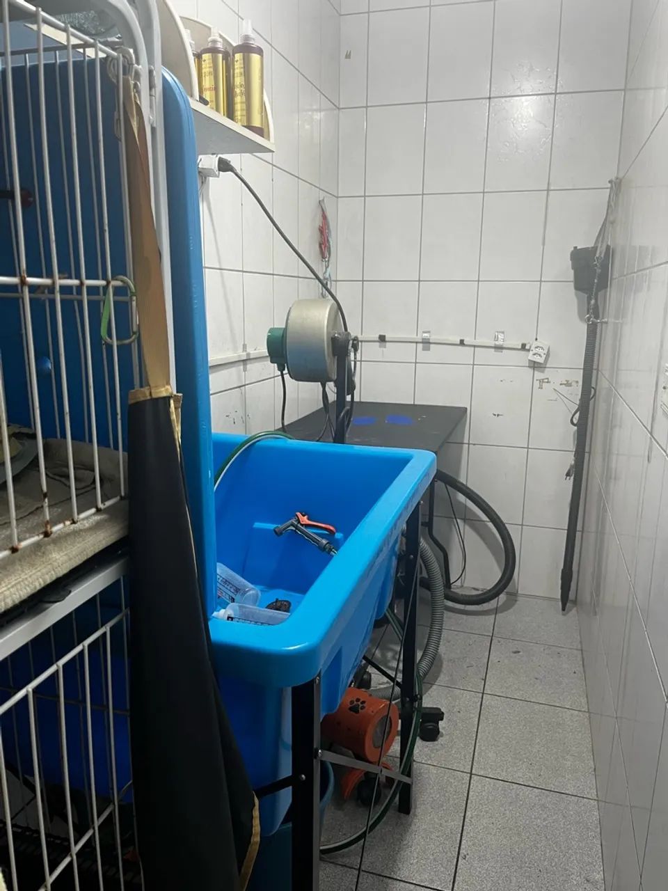 Petshop disponível  - Foto 4