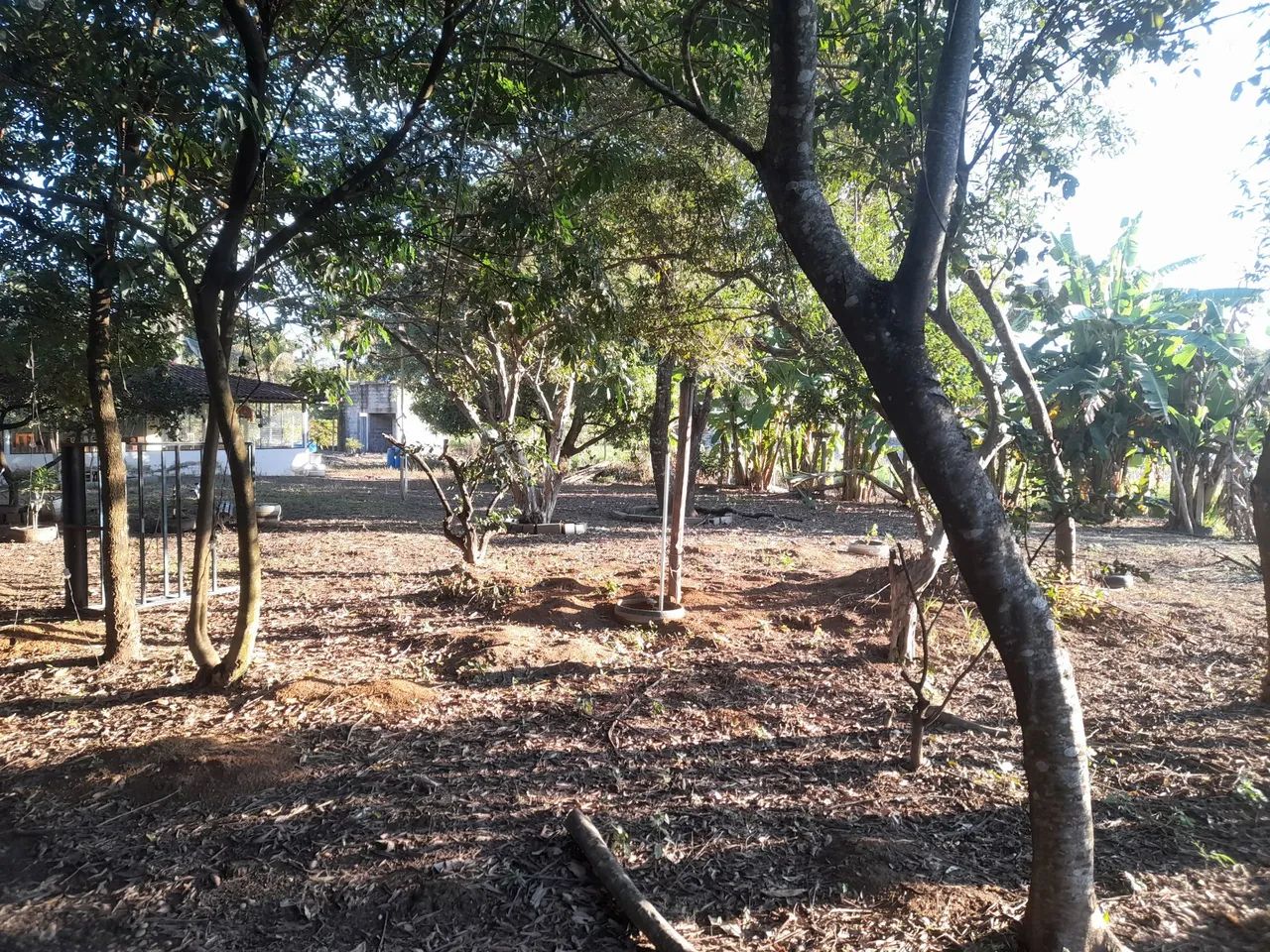 Terreno para rancho lagoa preta serra azul - Foto 3