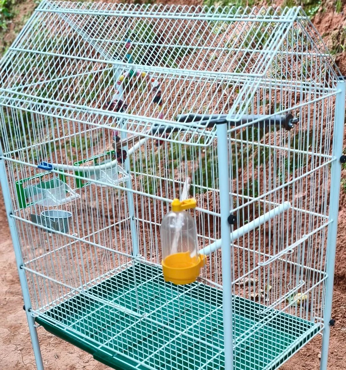 Gaiola