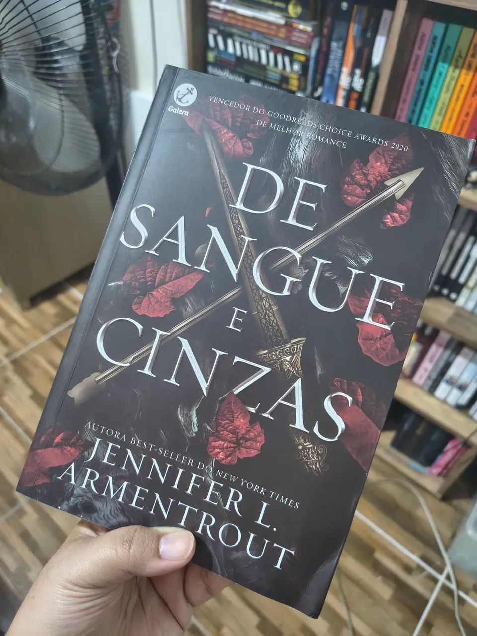 Livro De Sangue e Cinzas