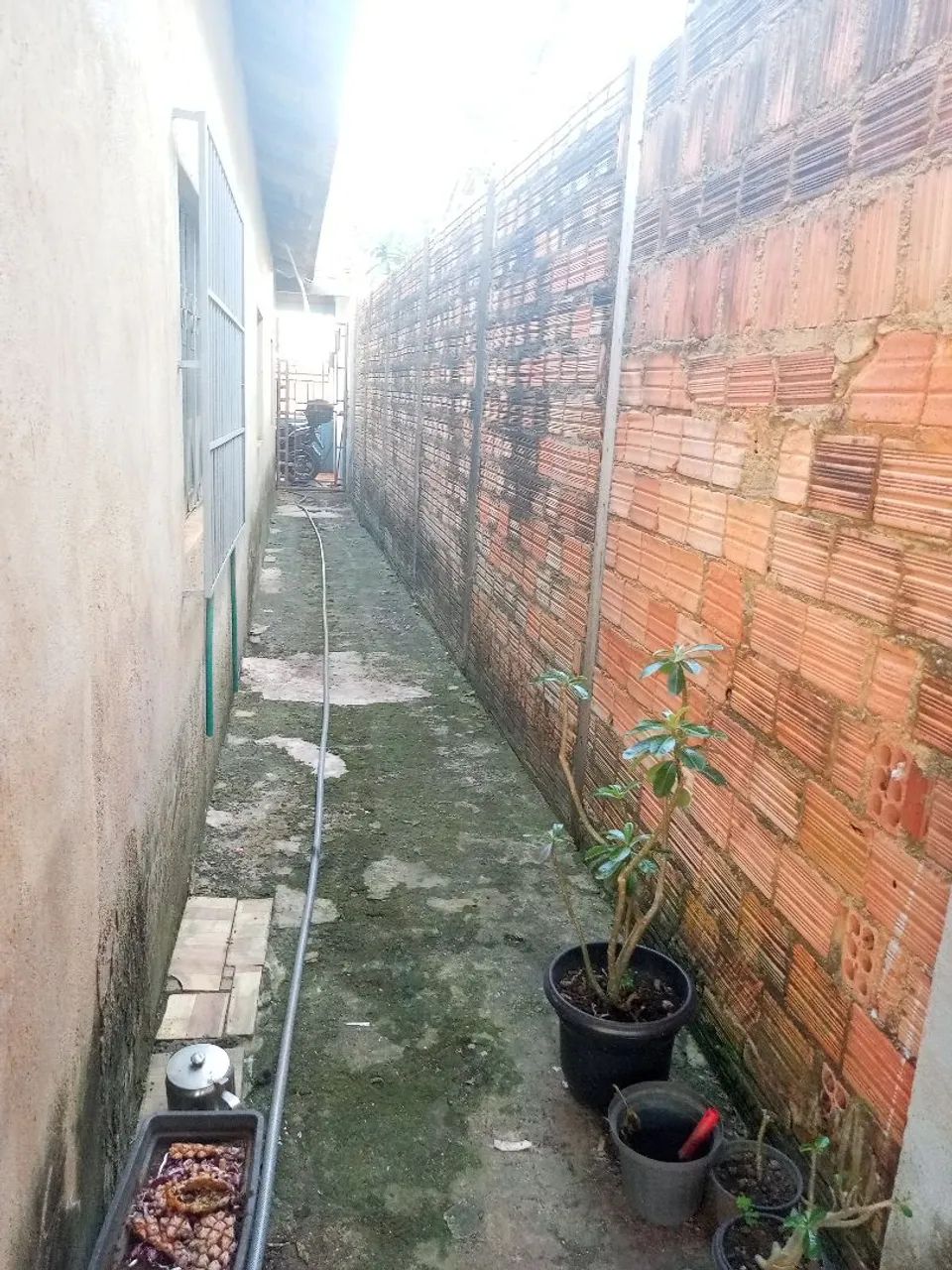 Venda  - Foto 5