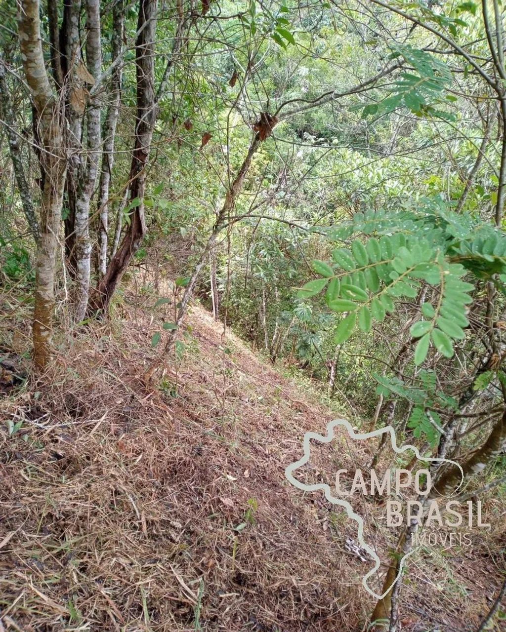 Chácara próxima da cidade! Estuda permuta em São Paulo! - Foto 4