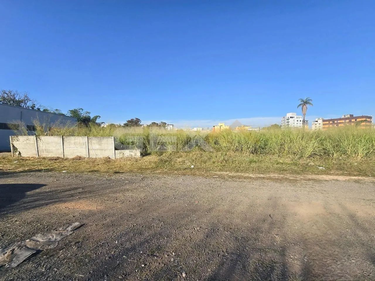 Lote à venda no bairro Ipiranga com 288 m². - Foto 6