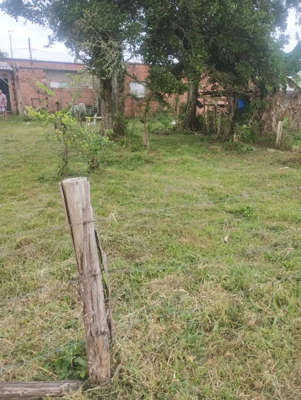 Terreno na ilha comprida ( 700mts da praia) - Foto 4
