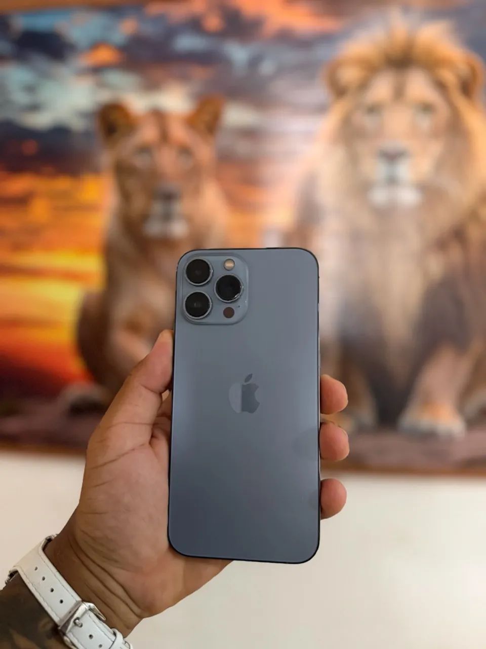 iPhone 13 Pro Max 100%