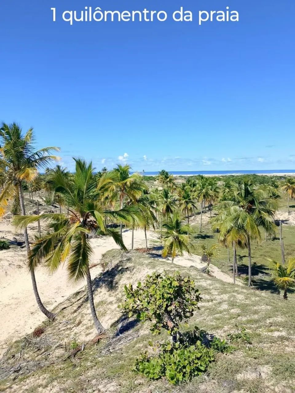 VENDO TERRENO COM 1KM DE DISTÂNCIA DA PRAIA E DUNAS DA CAUEIRA  - Foto 5