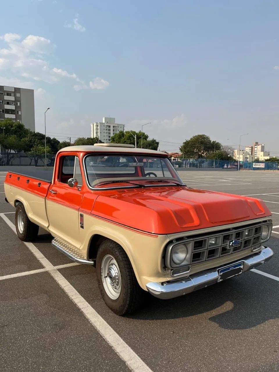 Chevrolet D-10 Diesel 1984