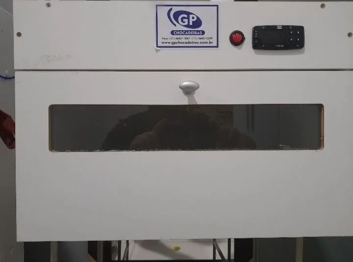 galinha - Foto 2