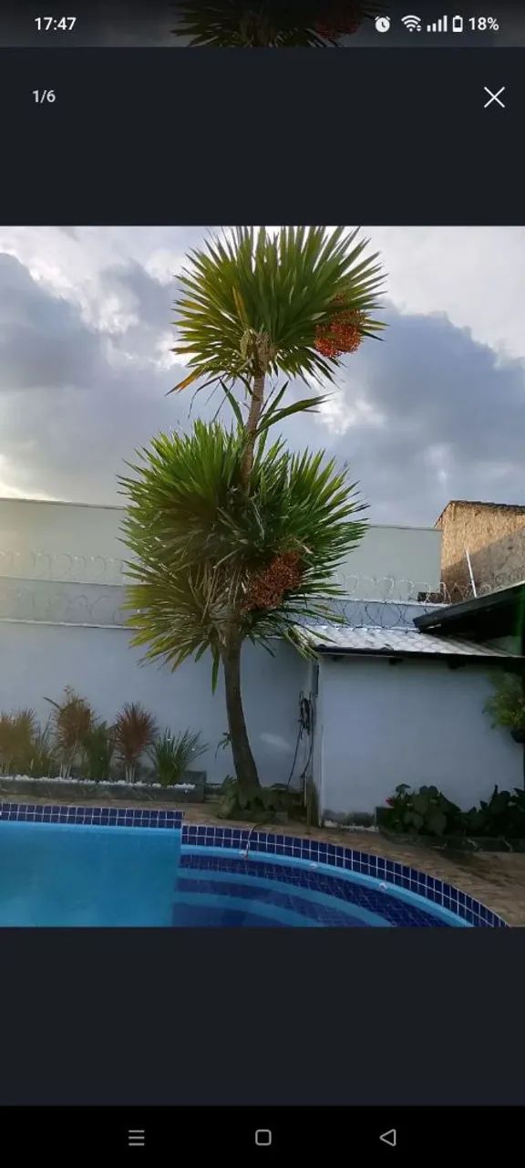 Jardineiro