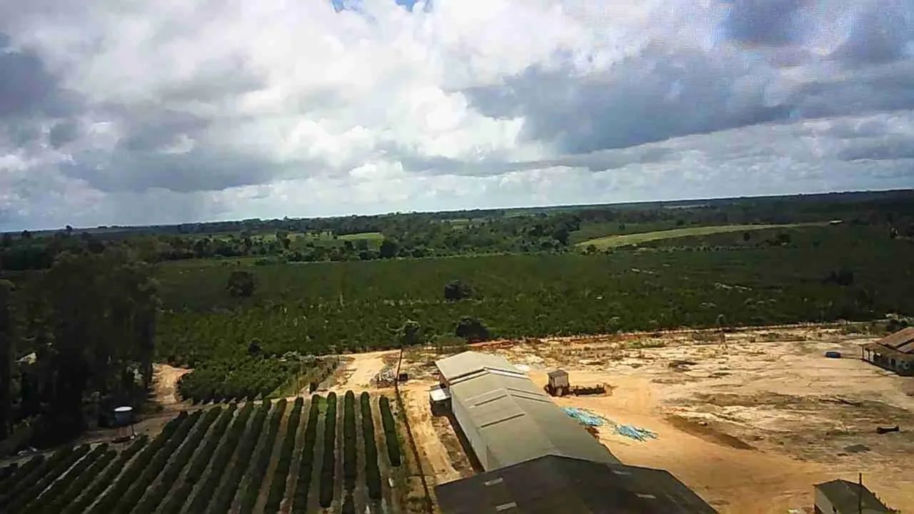 Fazenda com alta produção  - Foto 4