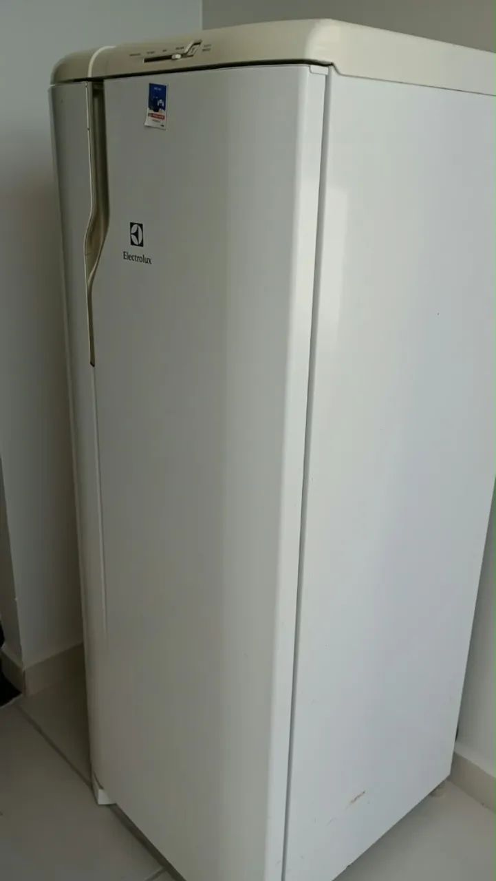 Vendo geladeira funcionando muito bem 