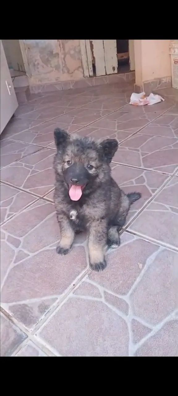Vende se 