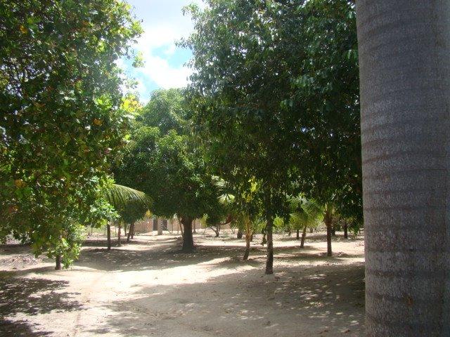 Sítio em Pacatuba, Ceará, Região Metropolitana de Fortaleza - Foto 5