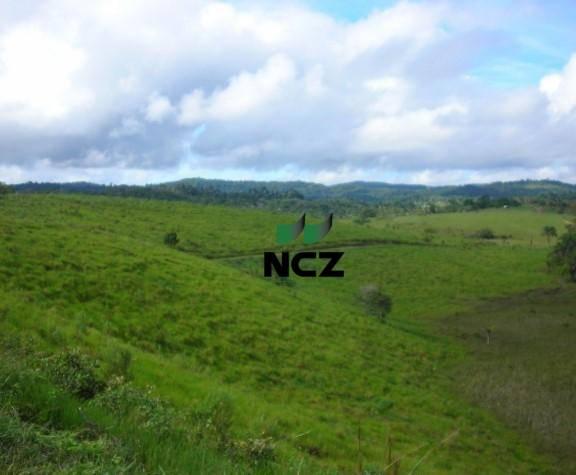 Fazenda à venda, 10960000 m² por r$ 5.000.000,00 - villas de são josé - itacaré/ba - Foto 5