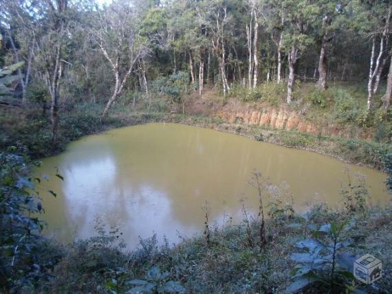 Chacara agudos do sul as margens pr 281 troco caminhao guincho munk - Foto 13