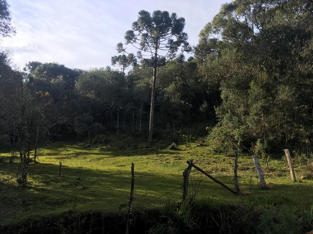 Terreno rural