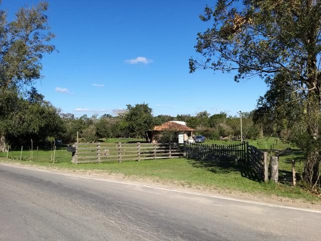 Sítio 2,9hec, no asfalto Lami POA/Itapuã, junto à rotatória, ótimo ponto comercial - Foto 3