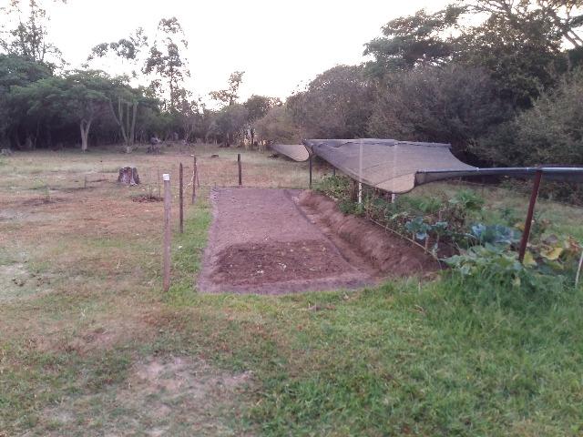 Sítio 2,9hec, no asfalto Lami POA/Itapuã, junto à rotatória, ótimo ponto comercial - Foto 17
