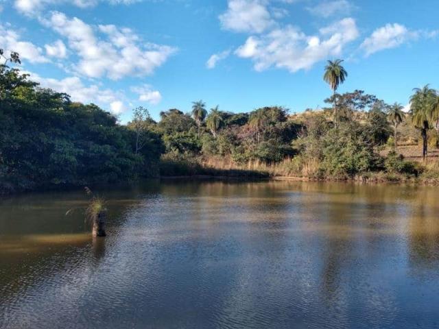 Fazenda - TAV60 - Foto 2