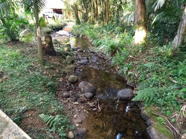 Terreno medindo 17 mil metros passando rio dentro e córrego - Foto 10