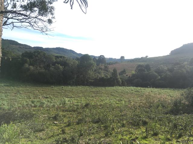 Terreno rural - Foto 6